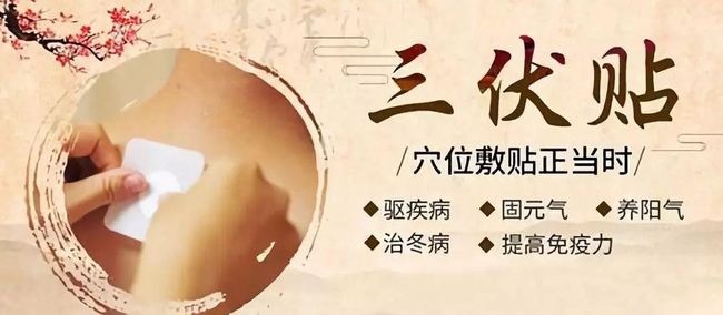 1、三伏貼要連續(xù)貼幾天